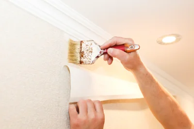 Pose de papier peint à Alboussière — revêtements muraux et toiles de verre
